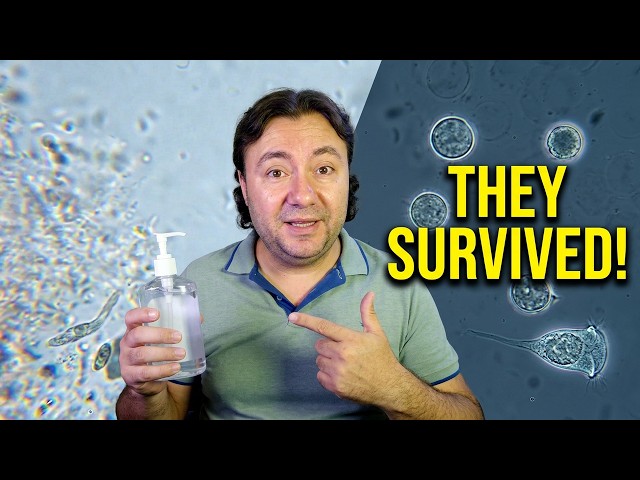 Hand Sanitizer vs Bacteria: THE TRUTH Under Microscope