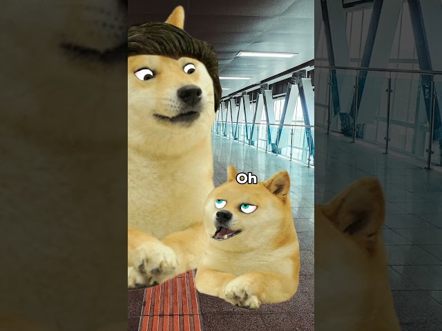 lil doge goes to the airport with his dad