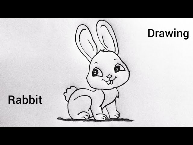 Very Easy Rabbit Drawing | How To Draw A Rabbit Step By Step | Rabbit Drawing tutorial 🐰