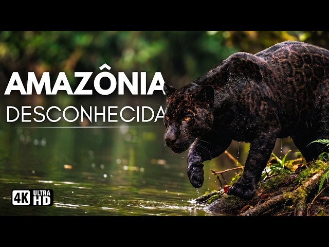 AMAZON JUNGLE: Secrets of the Most Impressive Creatures on the Planet | Full Documentary