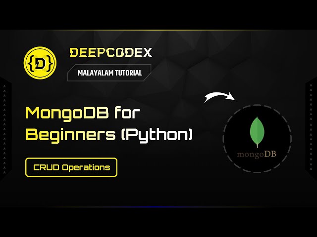 MongoDB for Beginners Python