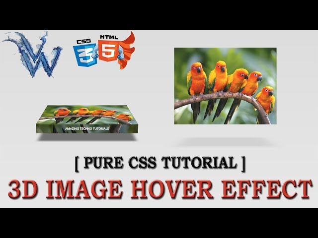 3d image hover effects css | cool css effects 2018 | Pure css tutorial
