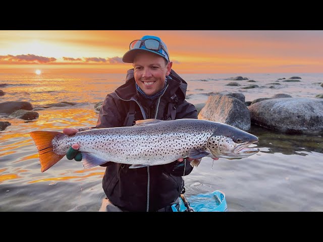 The Fly for When the Big Sea Trout is in to feed - Catch & Tie