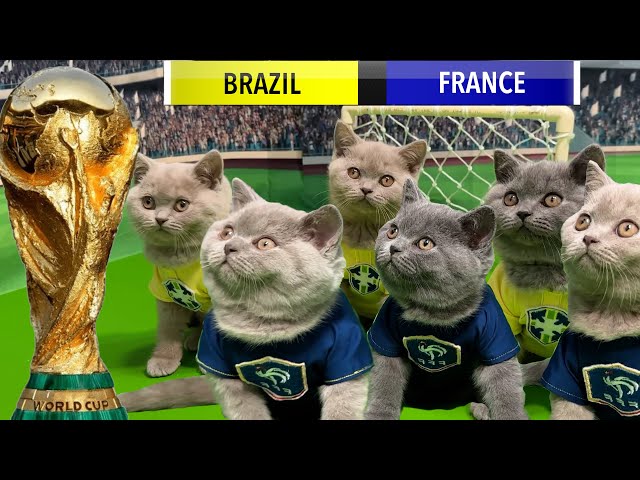 LETS UNLEASH CATS KITTENS WORLD CUP GAME 6! SEMIFINALS