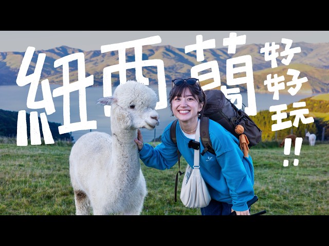 A group of YouTubers in New Zealand chasing dolphins,feeding alpacas, and 15,000ft extreme skydiving