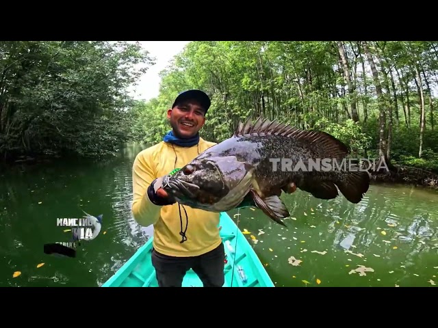 Sensasi Sambaran Penguasa Muara | MANCING MANIA STRIKE BACK (06/06/26) P3