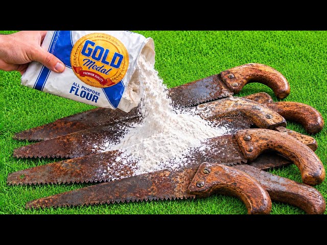 Millions Still Don't Know THIS SECRET 😱! You'll Wish You Knew This Sooner!