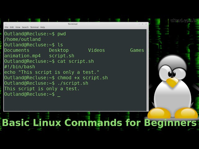 Basic Linux Commands.