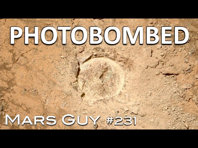 Unlikely event caught on camera