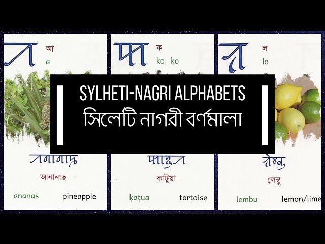 Learn Sylheti Nagri সিলেটি নাগরী শিখুন