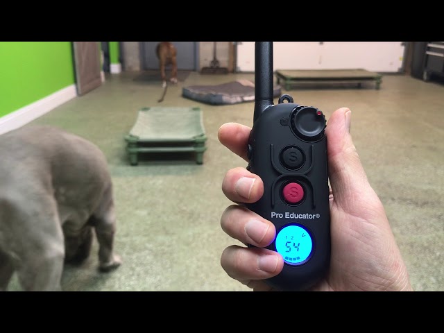 E-Collar Tech PE-900 | Quick Demo on Programming your "Pro Educator" - Customized Boost Levels