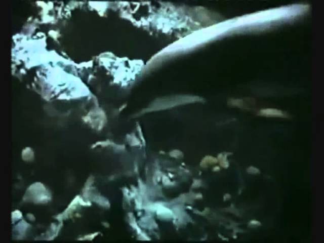 Splash 2 , splash too , the famous mermaid movie part 2 INTRO