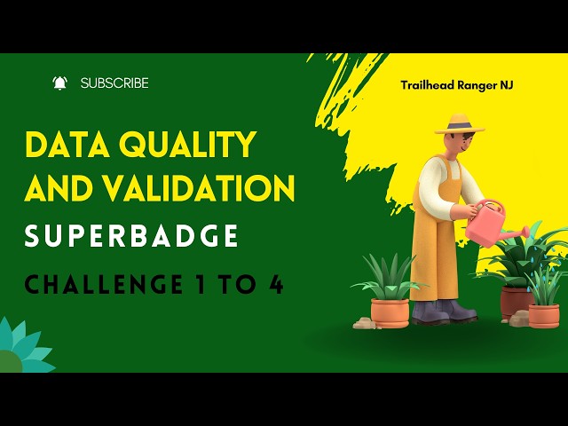 Data Quality and Validation Superbadge Unit | Challenge 1 to 4