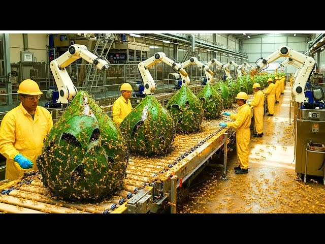 Inside the Ant Salt Factory Process | Why Ant Salt Is So Expensive