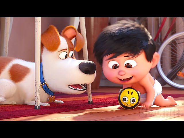 LOS MOMENTOS MÁS BONITOS de las películas de La vida secreta de las mascotas 💗 ⚡ 4K