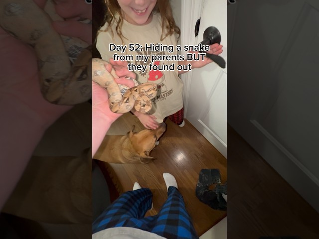 Little sis is scared🤣 #youtubeshorts #funny #shorts #snake #cute #viral #reptiles #pets #animals