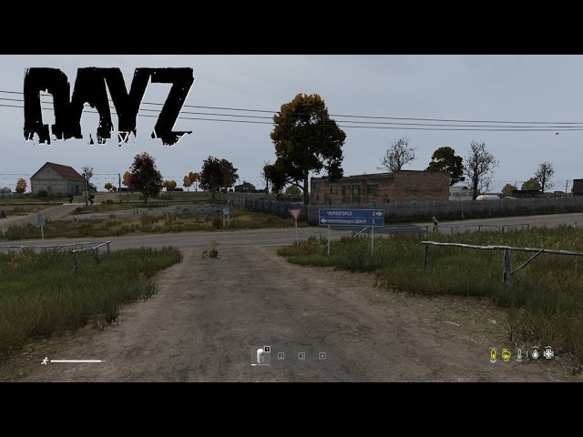 Sunday Stroll . Chernarus