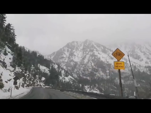 Lake Tahoe in Snow  | AMSA Travel Diaries #24@amsa.timelesswisdom
