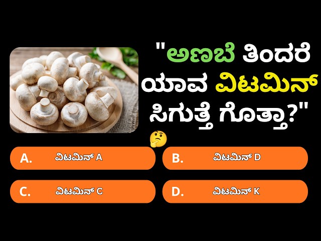 Mushroom Bigger Than a Blue Whale! | Mushroom Facts & Secrets | GK Mayur