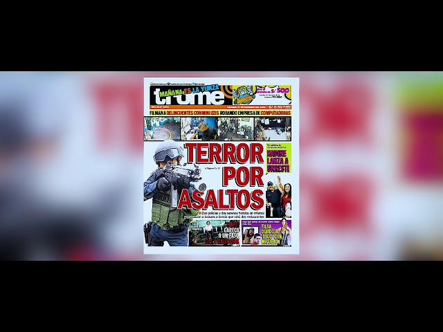 INSEGURIDAD CIUDADANA - TLS PERU