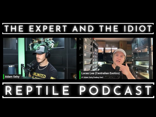 146 - Breeding Diamond Pythons, Indigo Snakes & More with Lucas Lee - The Expert and The Idiot