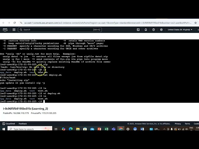 Shell Scripting Tutorial for Beginners
