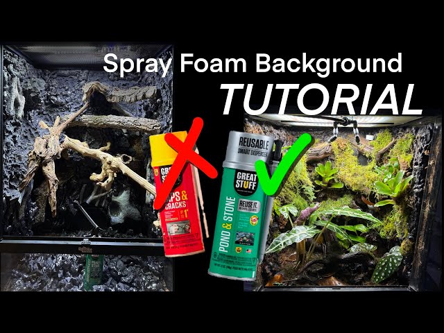 How to make a custom vivarium background! (Spray foam + silicone method)