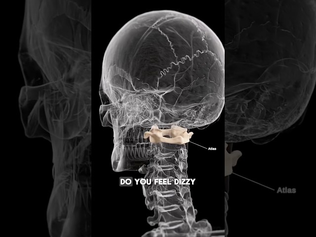 Dizzy? Stiff Neck? Your ATLAS Bone could be causing it! Watch this for some relief. #neckpain #neck