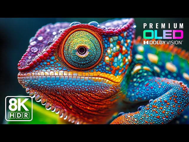 Cinematic Nature in 8K ULTRA HD | 120FPS HDR Dolby Vision™