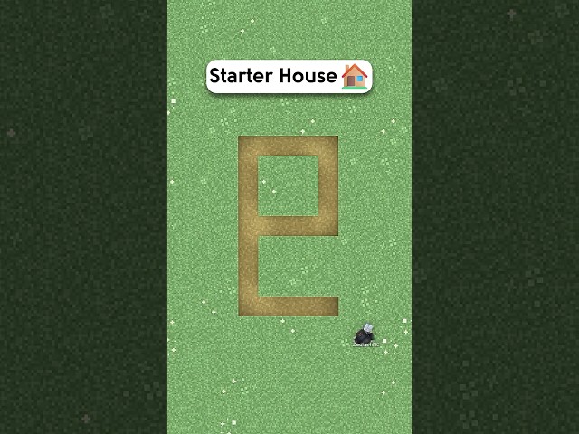 Minecraft Easy Starter House🏠 #minecraft