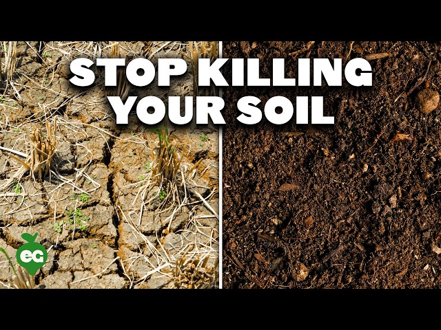 9 Proven Ways to Boost Your Soil Health