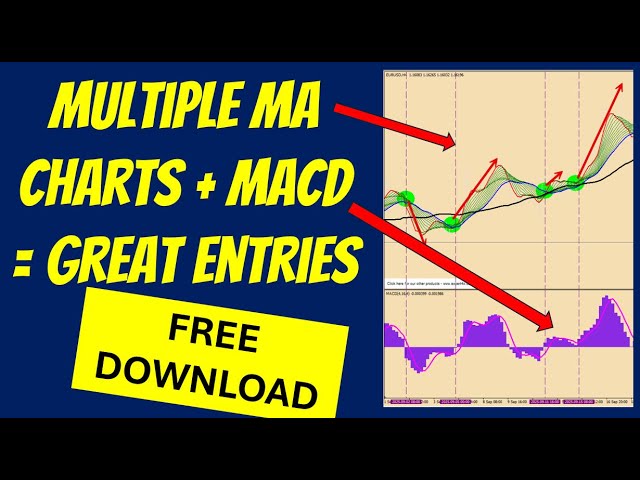 Learn how the MACD & the Free Market Sentiment Indicators combine to create Amazing Forex entries.