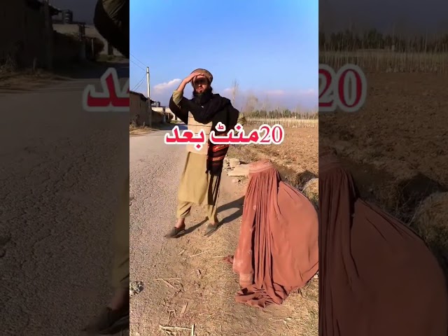 Motawa aw hakem gull funny video BDVINES #funny #tiagosilva #funnyclips #comedy 