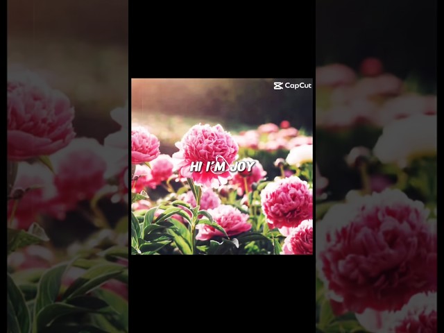 [😁] // Introduce yourself as your middle name!! // #capcut #template #fypシ゚viral #ytshorts #shorts