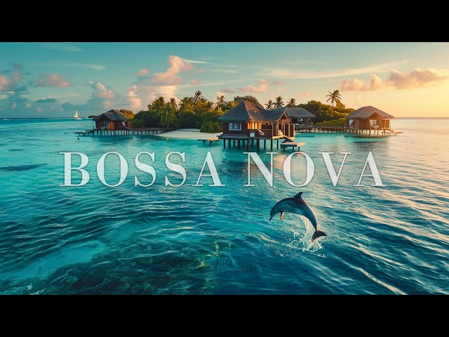 Tropical Bossa Nova Jazz ~ Best Background Music to Relax to