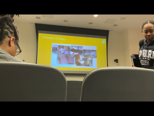 Professional Development - L1