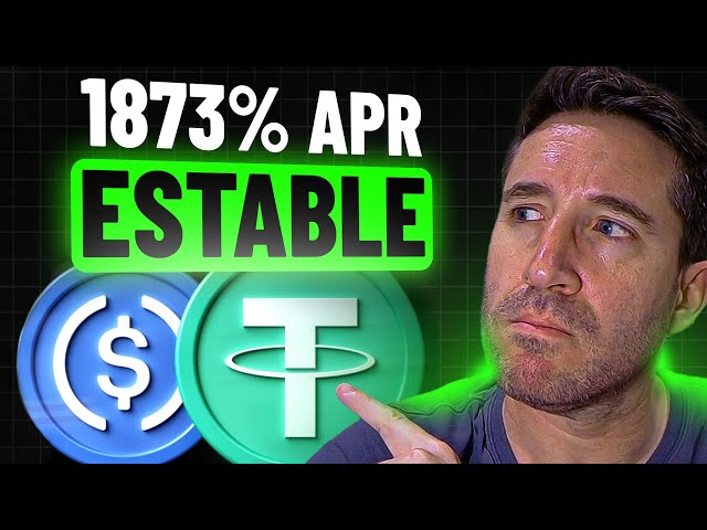 Foolproof strategies with stablecoins to *make a living from DeFi and cryptocurrencies*