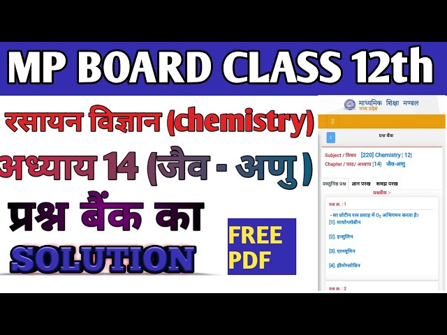 mp board class 12th question bank 2021 solution/mpboard/mp board prashna bank/prashna bank solution