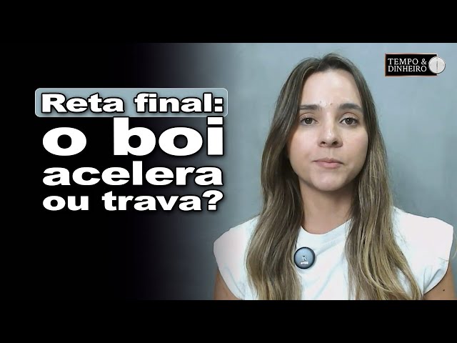 Beef cattle prices in the final stretch of 2025: what to expect? Isabella Camargo comments.
