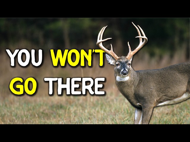 Why Most Hunters Never See Giant Bucks