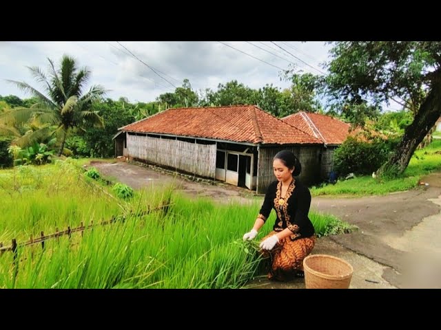 Journey to Bekasi Traditional Village in Cibarusah