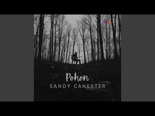 Pohon