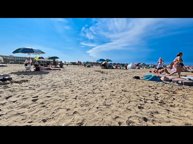 💎 EVERYDAY MAGIC IN VALENCIA: A COMPLETE 360° COASTAL JOURNEY | 8K 60FPS ⛱
