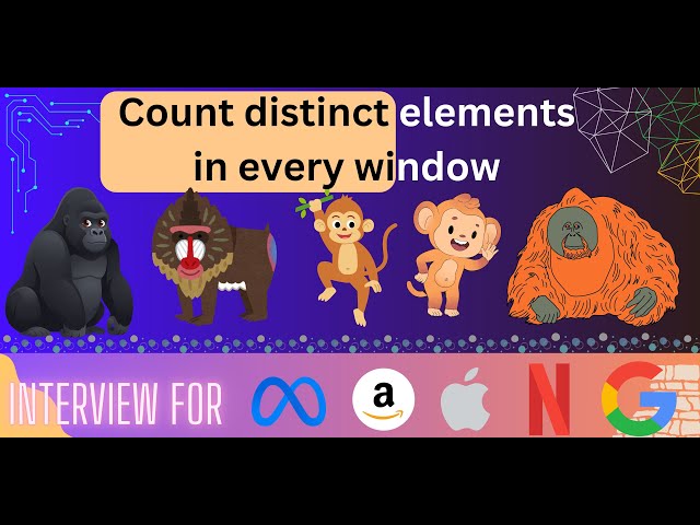 Count distinct elements in every window