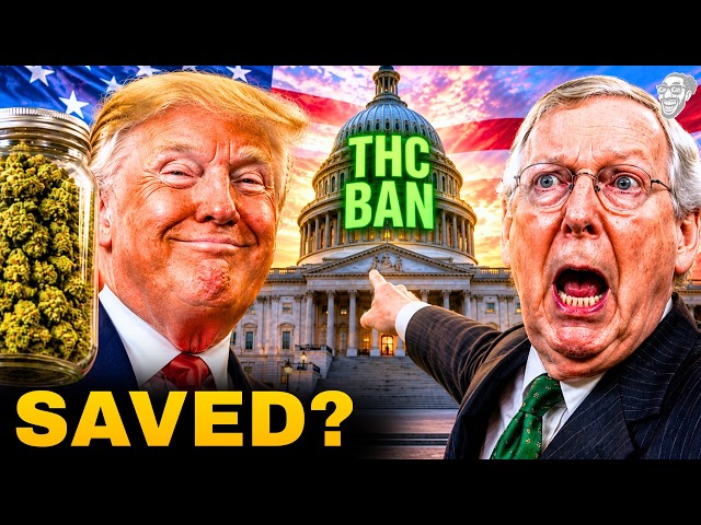MASSIVE FEDERAL UPDATE!... CONGRESS to BLOCK the THC BAN?!... Seeds and Hemp SAVED?! 😱