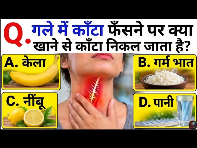 General Knowledge Most Important Questions | GK Quiz | GK Questions and Answers | GK in Hindi#UPSC