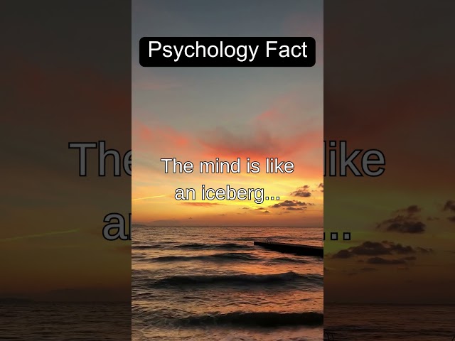 FactFlicks: Bite-Sized Knowledge-Explore Fascinating Facts