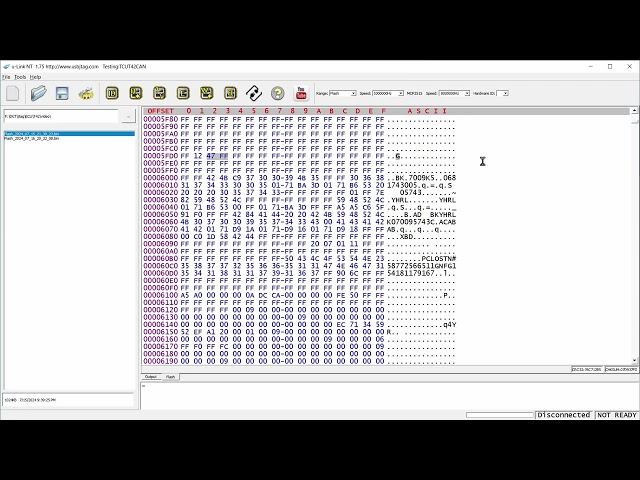 Binary editing feature of USB JTAG NT software (1.75)