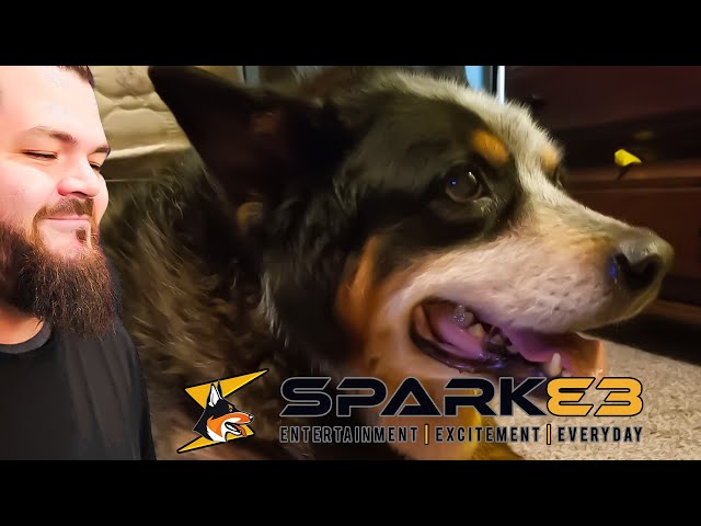 The Story Behind The SparkE3 Name