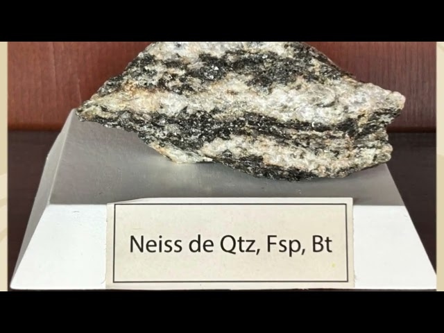 Rocas Metamorficas,  Museo de Geociencias UNAL